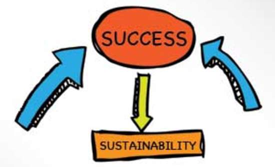Organizational Creativity: Company Sustainability