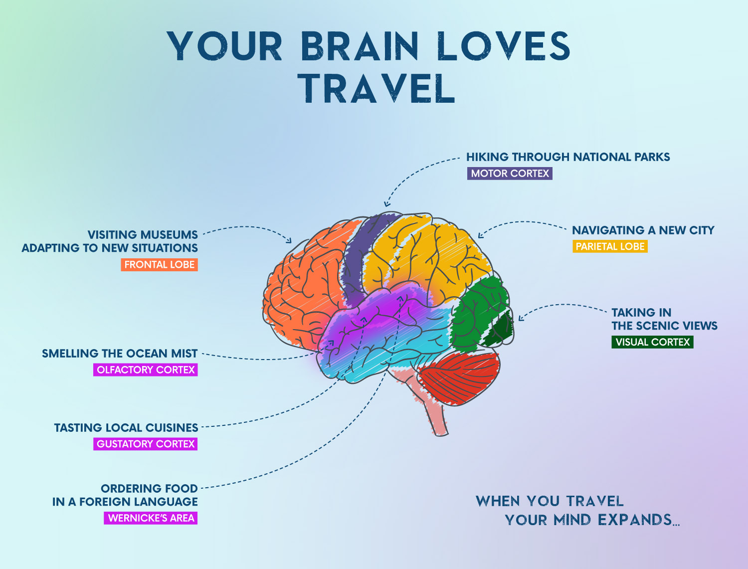 The Cognitive Benefits of Travel